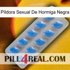 Píldora Sexual De Hormiga Negra 22